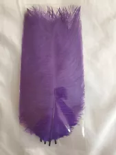 Lot of 10 Dyed 6-8" Ostrich Plume Feathers