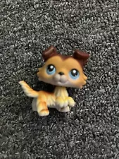 2004 Littlest Pet Shop LPS #58 COLLIE Dog Sage Paw UP Brown White Blue EYES