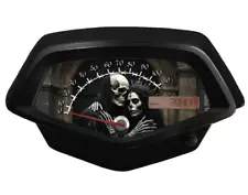 Honda Fury Speedometer Background Faceplate ABS or Non ABS Sugar Skulls (For: 2017 Honda Fury)