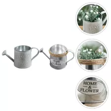 2 Pcs Decorative Watering Cans Vintage Jug Vase Tin Outdoor Plants