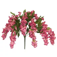 pink wisteria for sale