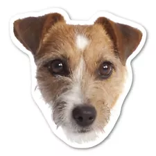 Jack Russell Terrier Magnet