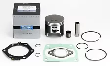 Polaris 300 2x4, 4x4, 1994-1995, Std Bore Platinum Piston/Gasket Engine Rebuild (For: Polaris 300 4X4)