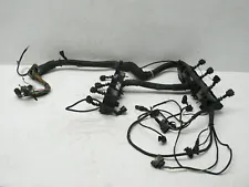 00-03 BMW E53 X5 4.4L N62 V8 MOTOR ENGINE WIRE WIRING HARNESS LOOM OEM 090321