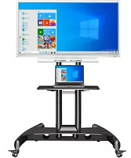 The SMART Board 4065 interactive flat panel (with mobile stand) **Warranty****