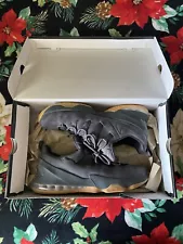 Size 11.5 - STEAL Nike LeBron 13 Low Premium Anthracite Grey 2017 Og Box