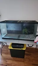 large fish tank for sale