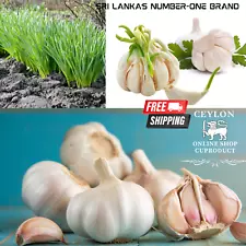 heirloom garlic bulbs for sale