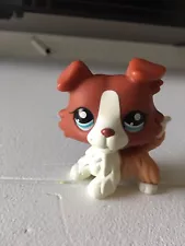 Lps Collie Aesthetic