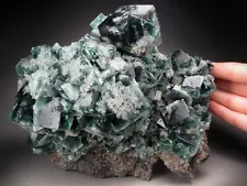 Fluorite Crystals Rogerley Mine England