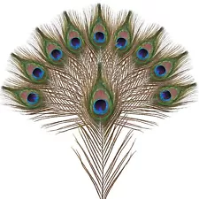 10pcs Natural Peacock Feathers in Bulk 10-12inch for DIY Craft Wedding Flower...