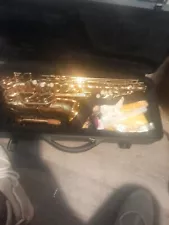 Hawk Saxophone