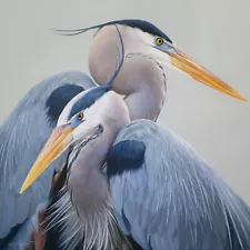 Harmony - Blue Herons - Bird Art - Limited Edition Canvas Giclee Wildlife Print