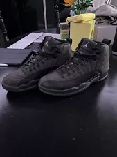 Size 10 - Air Jordan 12 Retro Wool