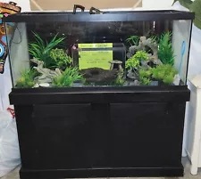 75 gallon aquarium with stand