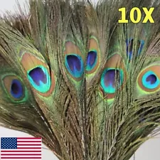 10Pcs Peacock Tail Feathers Natural 12" For Wedding Craft Arts DIY Home Decor US