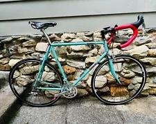 NEW OLD STOCK Bianchi Dolomiti Large Campagnolo RARE WORK OF ART