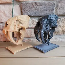 Sabertooth Tiger Skull, Sabertooth Tiger, Saber Tooth Tiger, Statue of Animal