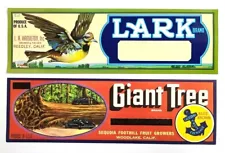 2 Vintage Unused Fruit Crate Labels - Lark & Giant Tree/Blue Anchor California