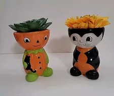 Halloween 2 Mini Pumpkin Vampire Artificial Succulents