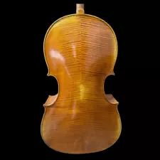 cello for sale beginner