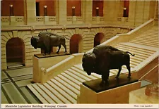 WINNIPEG, CANADA ~ Manitoba Legislative Building ~ Bison - Vintage Postcard