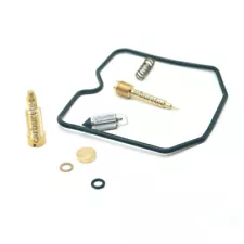 Carburetor Repair Kit for Triumph Thunderbird 885 1995-2014 America 2002-2007 (For: Triumph Thunderbird)