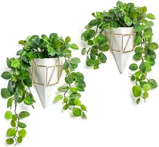 Amar Wall Plant Holder - Geometric Wall Decor Ideal for Succulent Plants 6" Whit