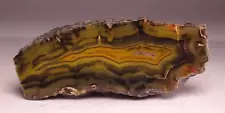 Turkish Agate Thick Slab Collector Specimen Rock Turkey