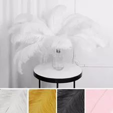 24 pcs 24-26" long Genuine Ostrich FEATHERS for Wedding Party Centerpieces SALE