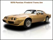 1979 Pontiac Firebird Trans Am New Metal Sign: Beautiful Restoration!