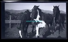 black and white negative - young Woman with 3 horses barb wire fence corn