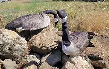 OUTLAW DECOY CANADIAN GOOSE FOTO FEATHERS CLOTH COVERS ðºð¸ USA MADE ðºð¸ x2