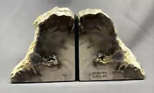 Beautiful Petrified Wood Bookends or Display Pieces Sequoia Elko Nevada