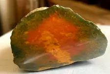 2.9 oz. Raw Semi Polished Bloodstone, Fantastic Specimen!