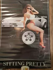 Vintage Rare Original Sexy Poster "Sitting Pretty" 1986 Woman Sports Car