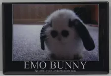 Emo Bunny "No One Ever Understands Him" 2" X 3" Fridge / Locker Magnet. Unique!