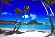 BORA BORA - TROPICAL BEACH POSTER 24x36 OCEAN PHOTO SCENIC PALM TREES 36252