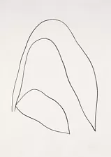 Ellsworth Kelly: Leaves (Feuilles) 22x30 Archival Quality Fine Art Print