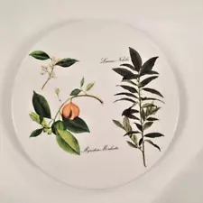 Vintage Mebel Melamine Trivet Made in Italy; Myristica Moschata & Laurus Nobilis