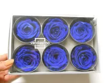 Verdissimo Real Preserved Roses Cobalt Blue 6 Ct Wedding Floral Arrangements