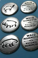 Waco Mammoth National Monument Prehistoric Fossils Group Tokens