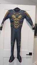 Ant-Man Marvel Comics WASP CHILD'S HALLOWEEN COSTUME Size Small 5-7