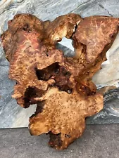 Resin Table Top Burl wood Slab Woodworking Lumber Epoxy Island 14”X11”X1.15” E06