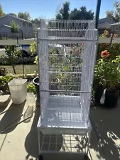 bird cage for small birds