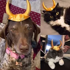 loki dog costume for sale