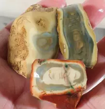 Royal Imperial Jasper 3.3 oz lapidary windowed rough lot D