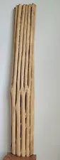 Large 50" ❦ Old Saguaro Cactus Skeleton ❦ RARE