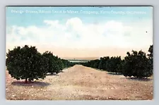 Kern County CA- California, Orange Groves, Edison Land, Vintage Postcard