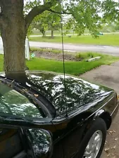 1994 thunderbird for sale